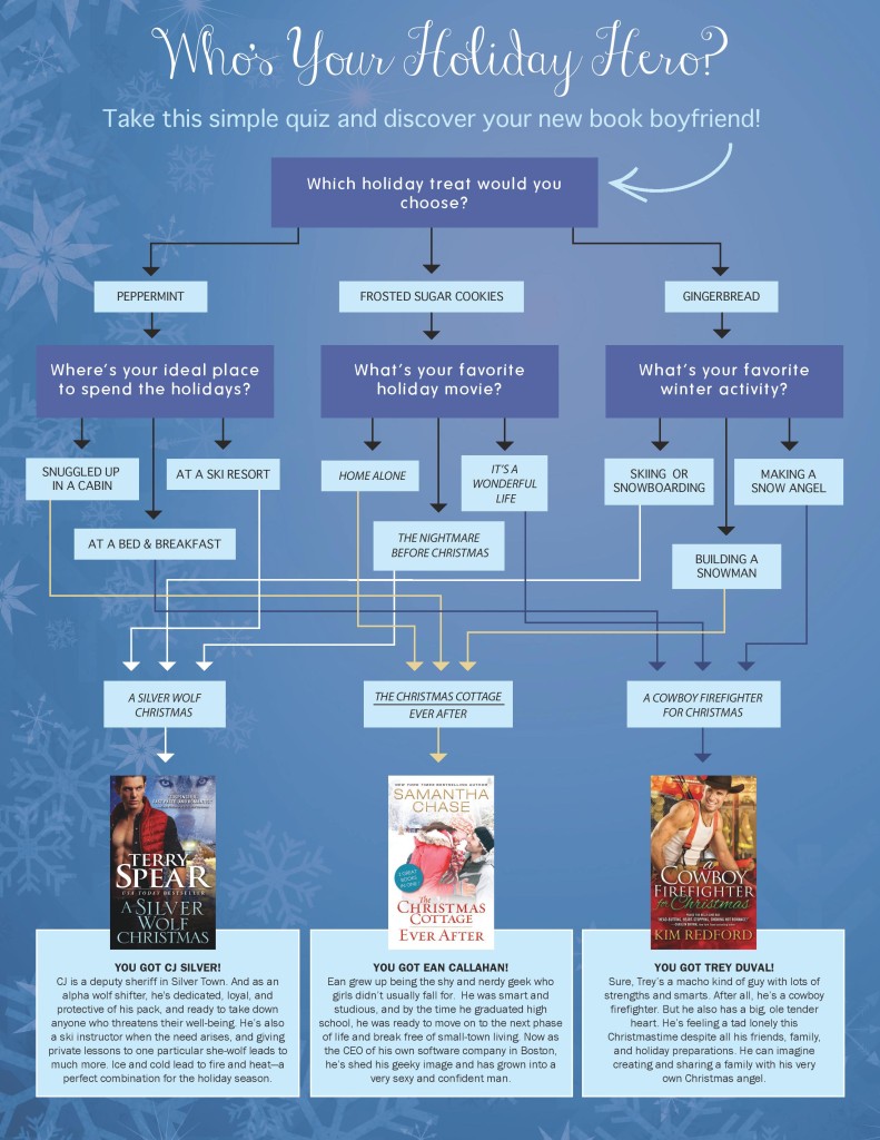 Holiday Hero Flow Chart-page-001